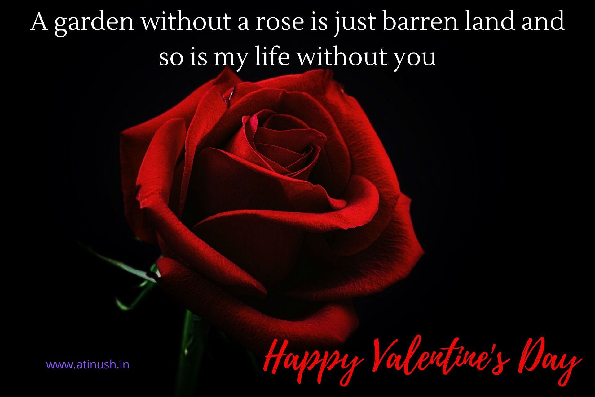 Happy Valentine Day Quotes Status Massage Photo Happy Valentine Day Gift For Her Him Images By Atinush Medium