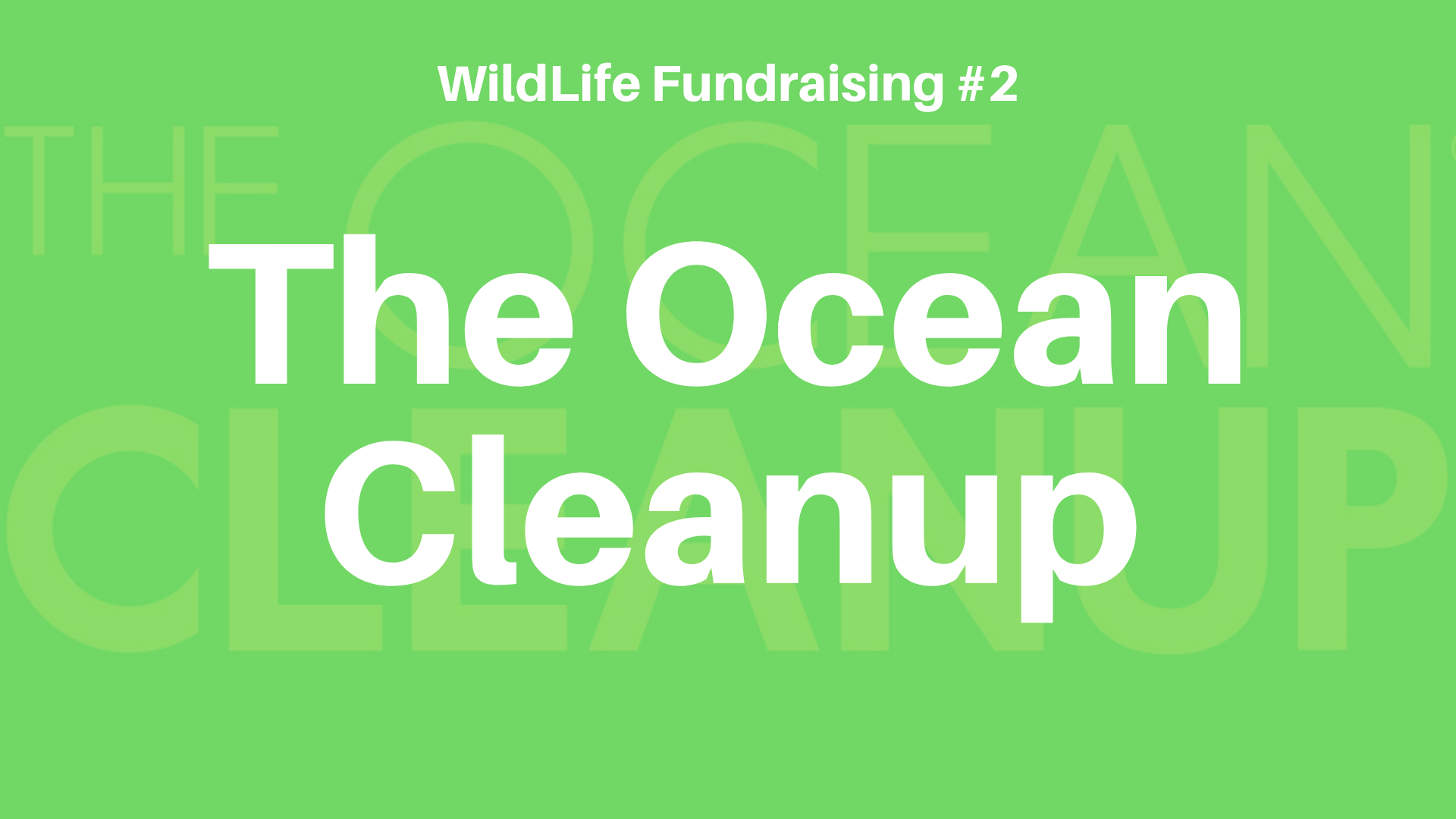 The Ocean Cleanup Explained Wildlife Community Medium