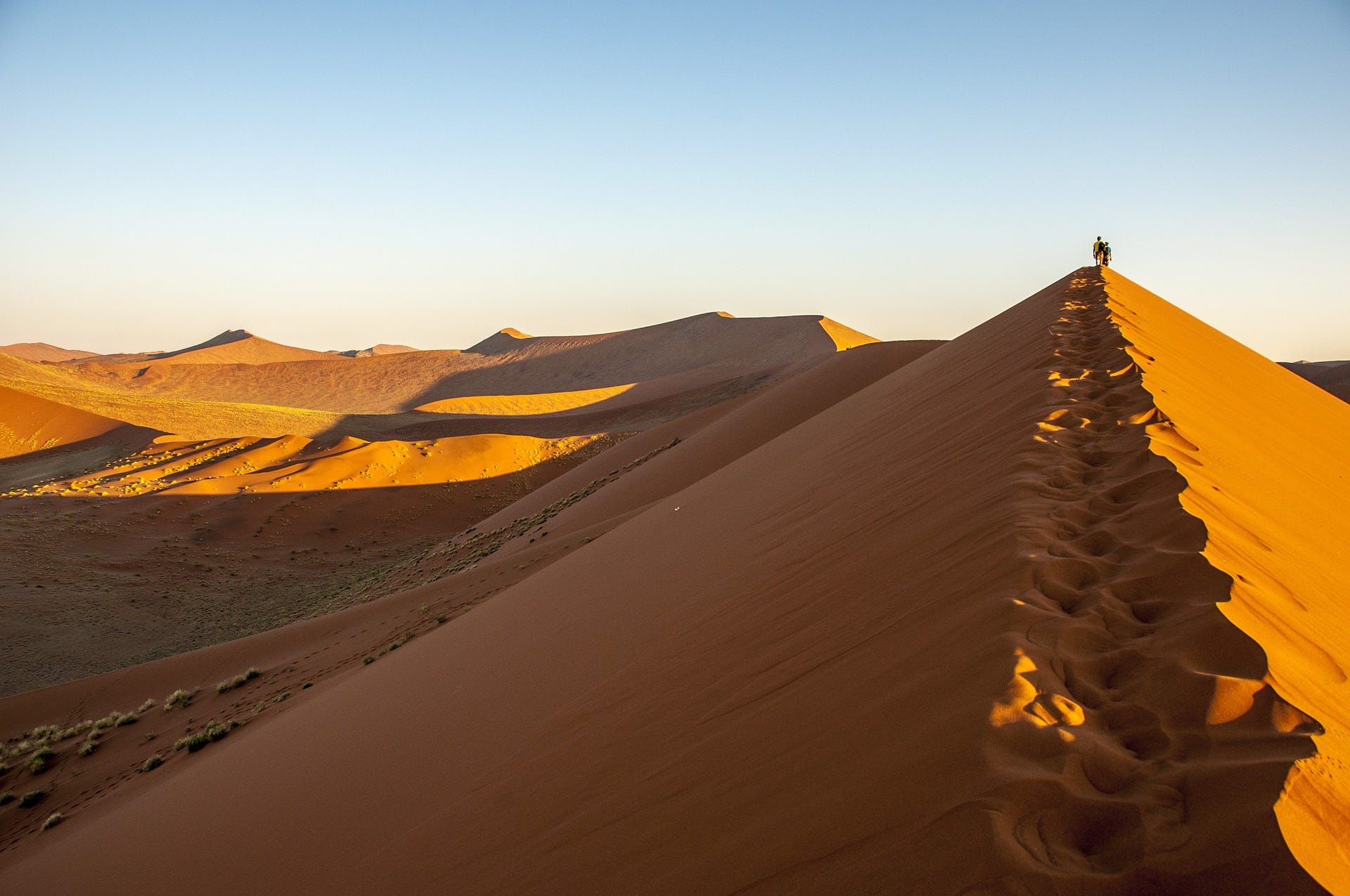 10 great photographs of the Namib desert - DiscoverAfrica.com - Medium