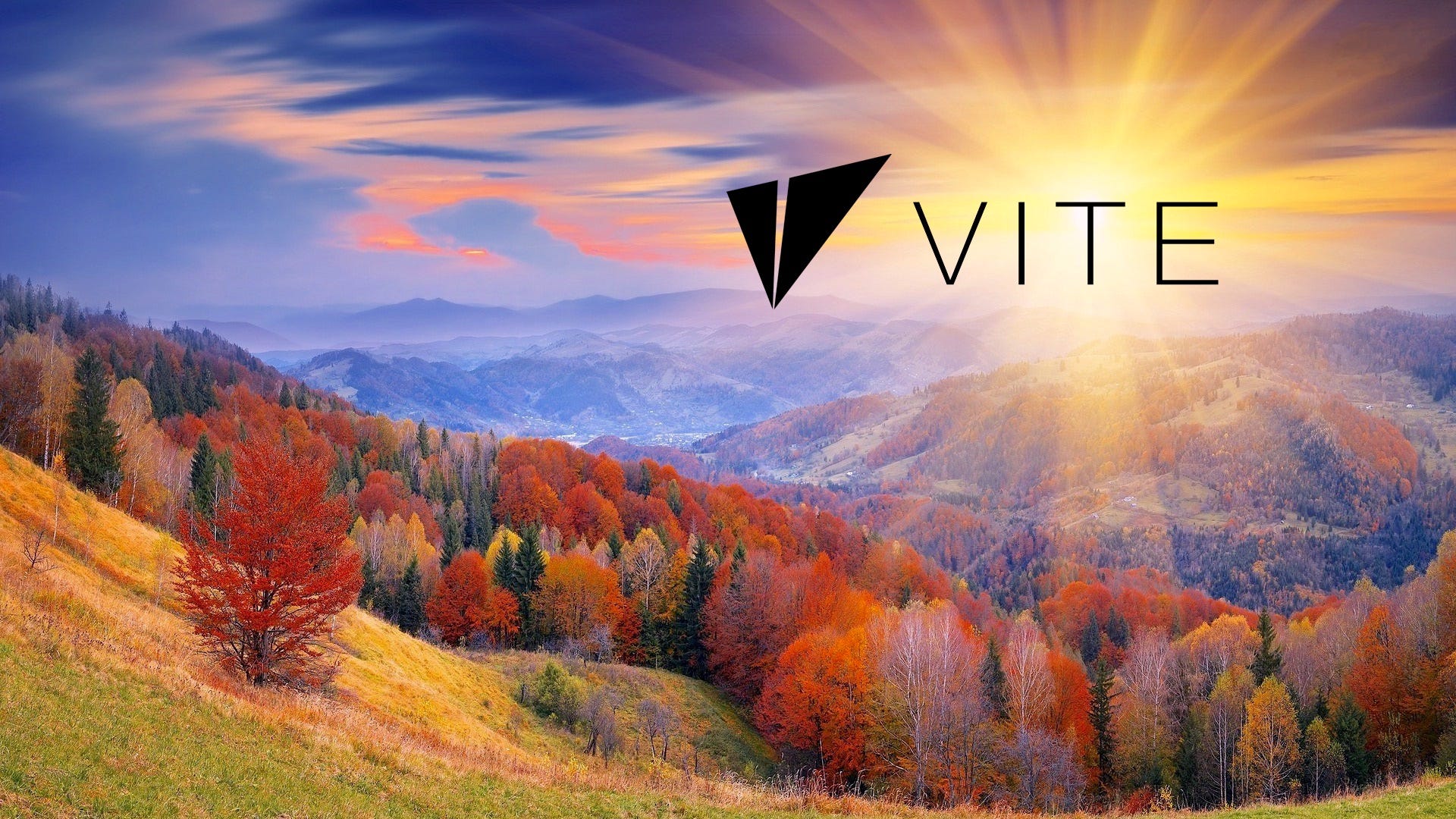 Bittrex Trading Campaign. Buy VITE on Bittrex to earn more ...