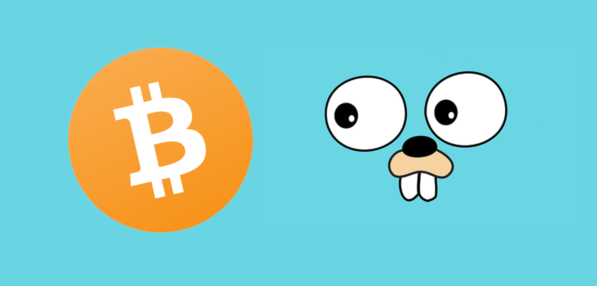 Golang Bitcoin Address Generator