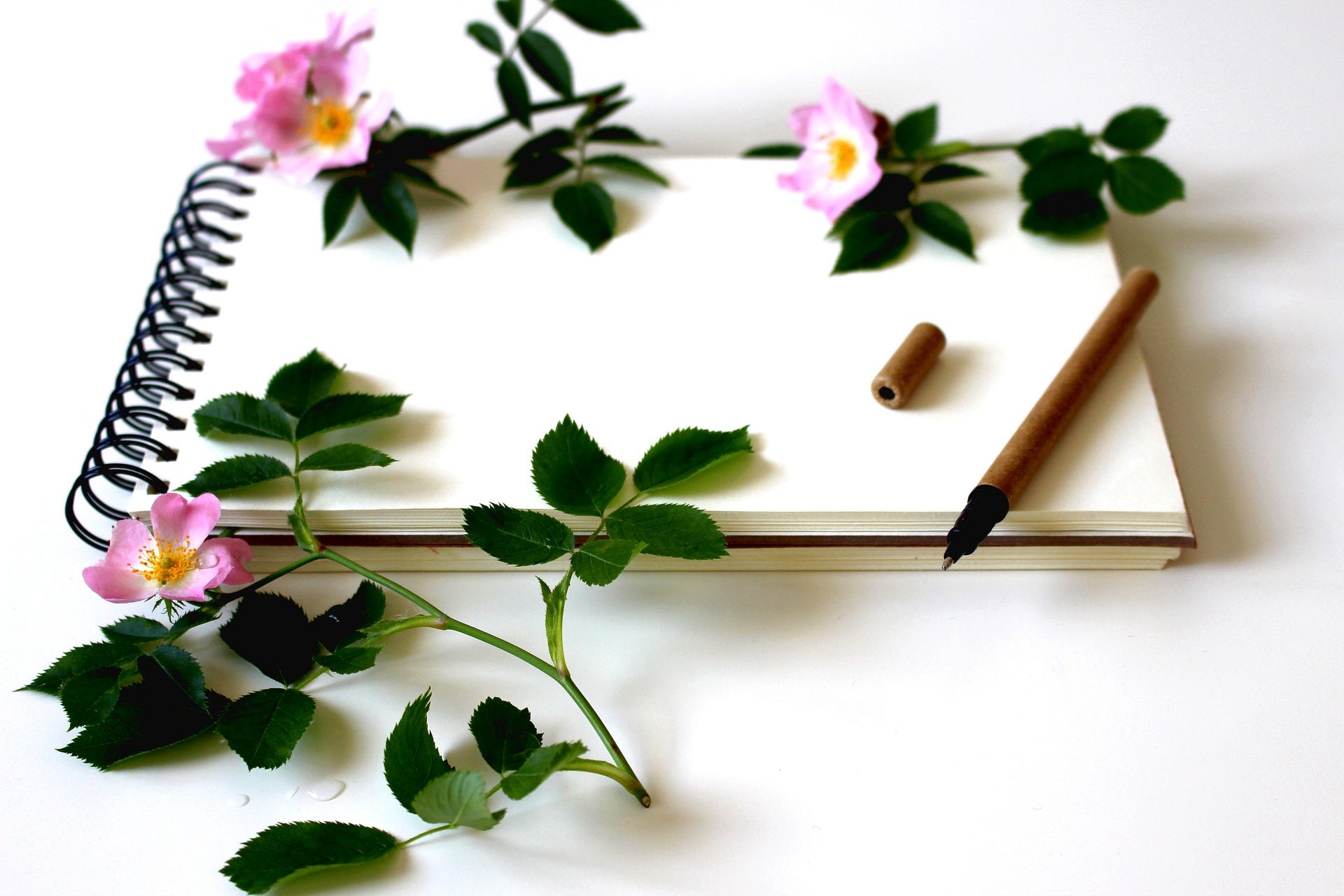 Dating Profilo writer servizio