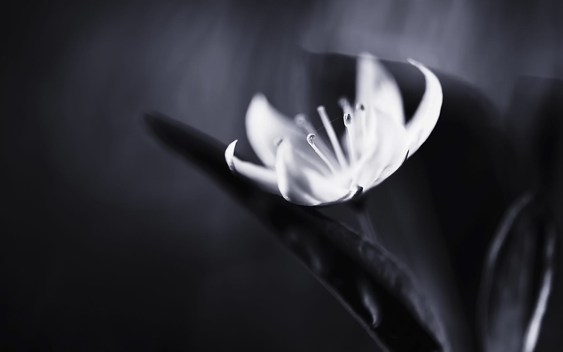 Protractor and Jasmine Data Provider Modus Create Front End