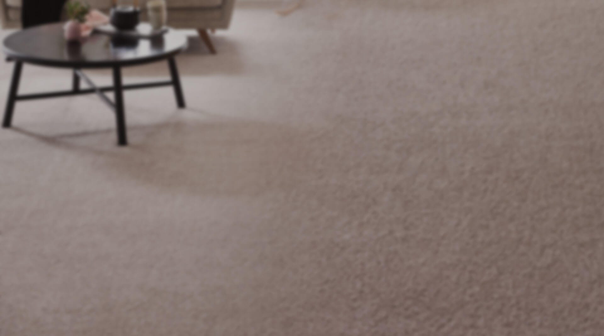 Hours Abc Rug Carpet Cleaning Wolf Trap Medium