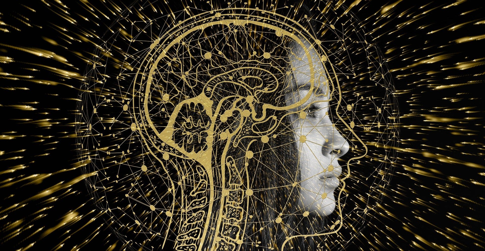 Is the Brain a Quantum Computer? - The Startup - Medium