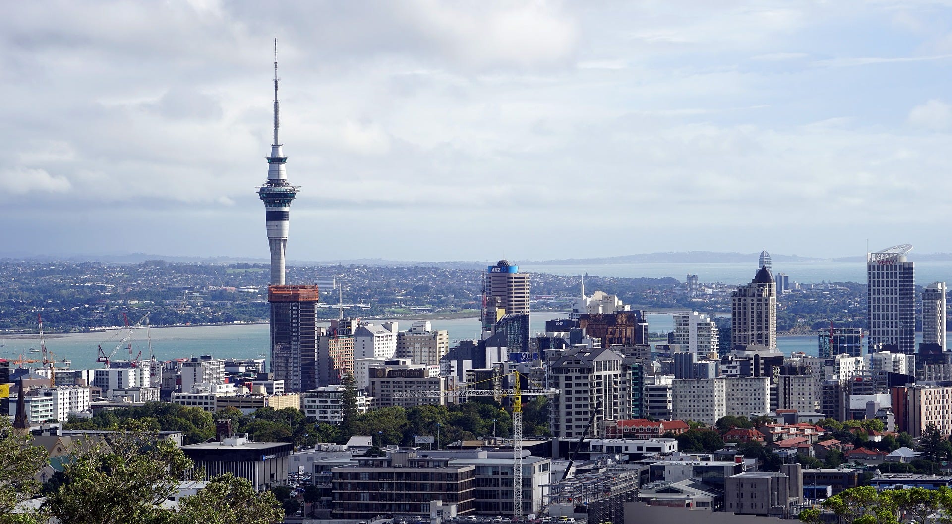 What Are The Best Skilled Jobs In New Zealand For Indians By Jobs Visas Medium