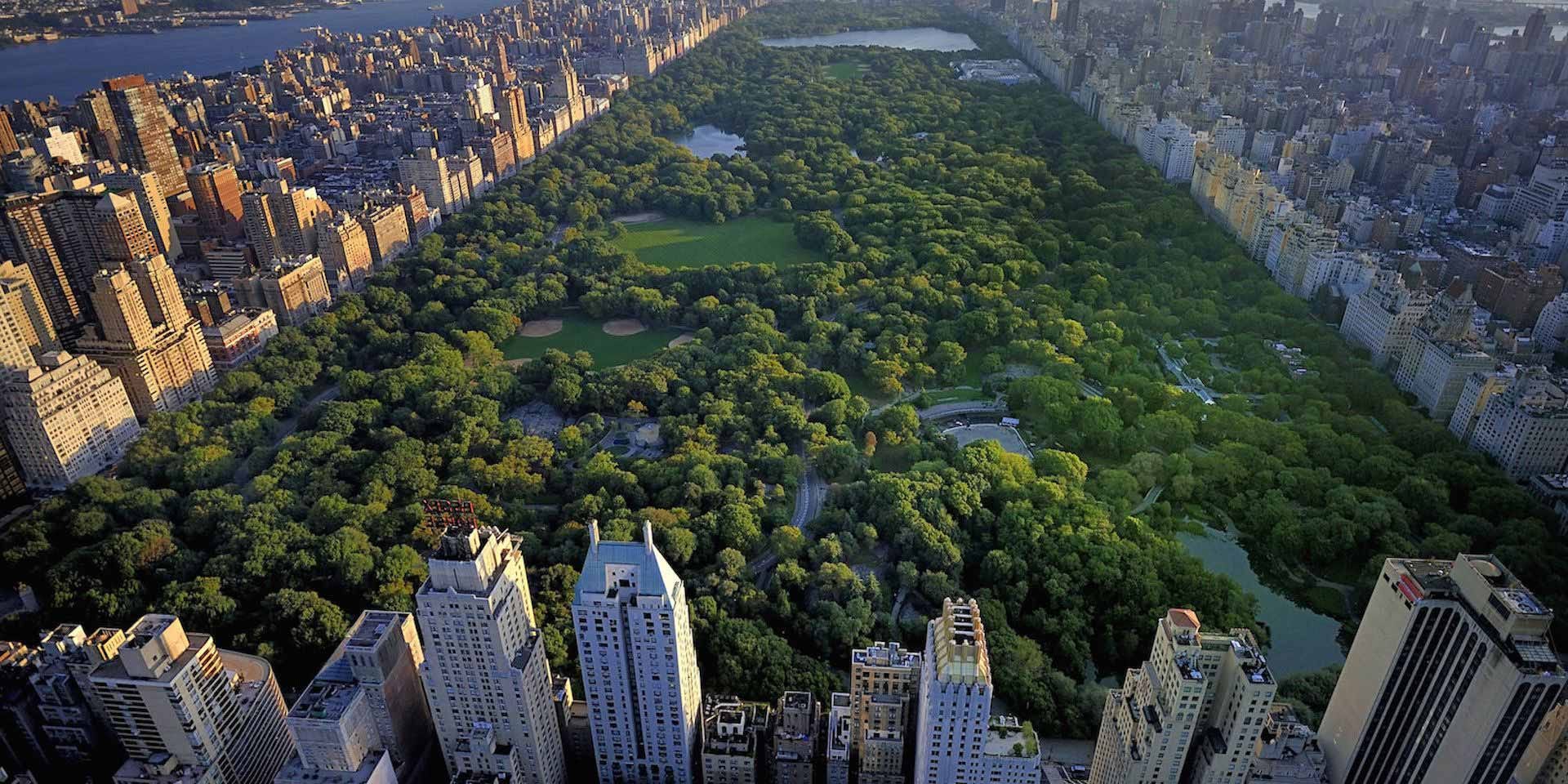 New York Icons: Central Park - Daniel Lanciana - Medium