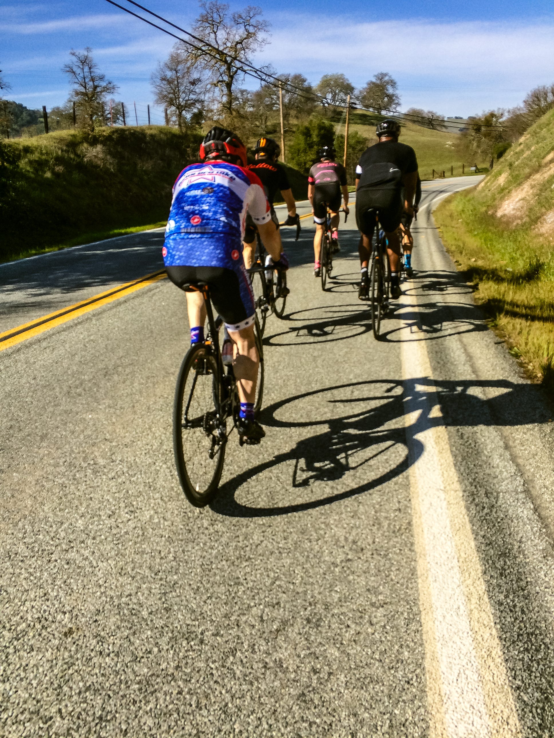 barry bonds cycling