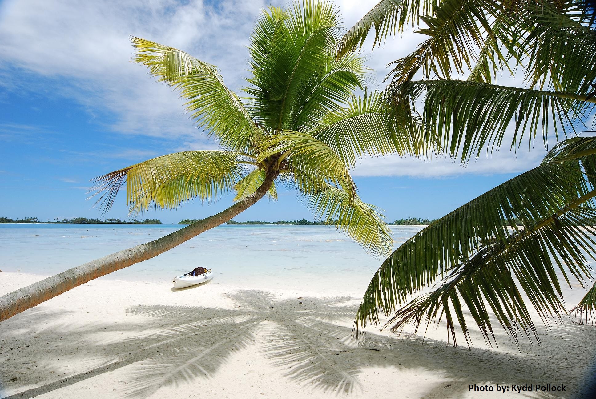 palmyra atoll murders palmyra atoll murders