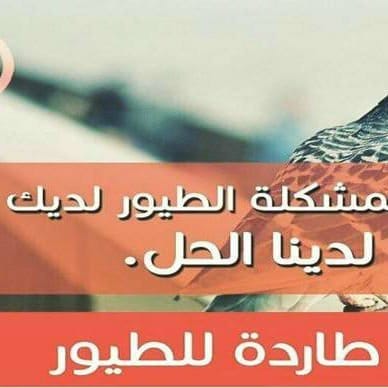 شركة مكافحة الحمام بالمدينة المنورة 0590619062 افضل شركة مكافحة حمام بالمدينة المنورة By شركة البيوت الذهبية 0508213187 Mar 2021 Medium