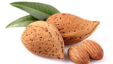 Almond Variety Chart