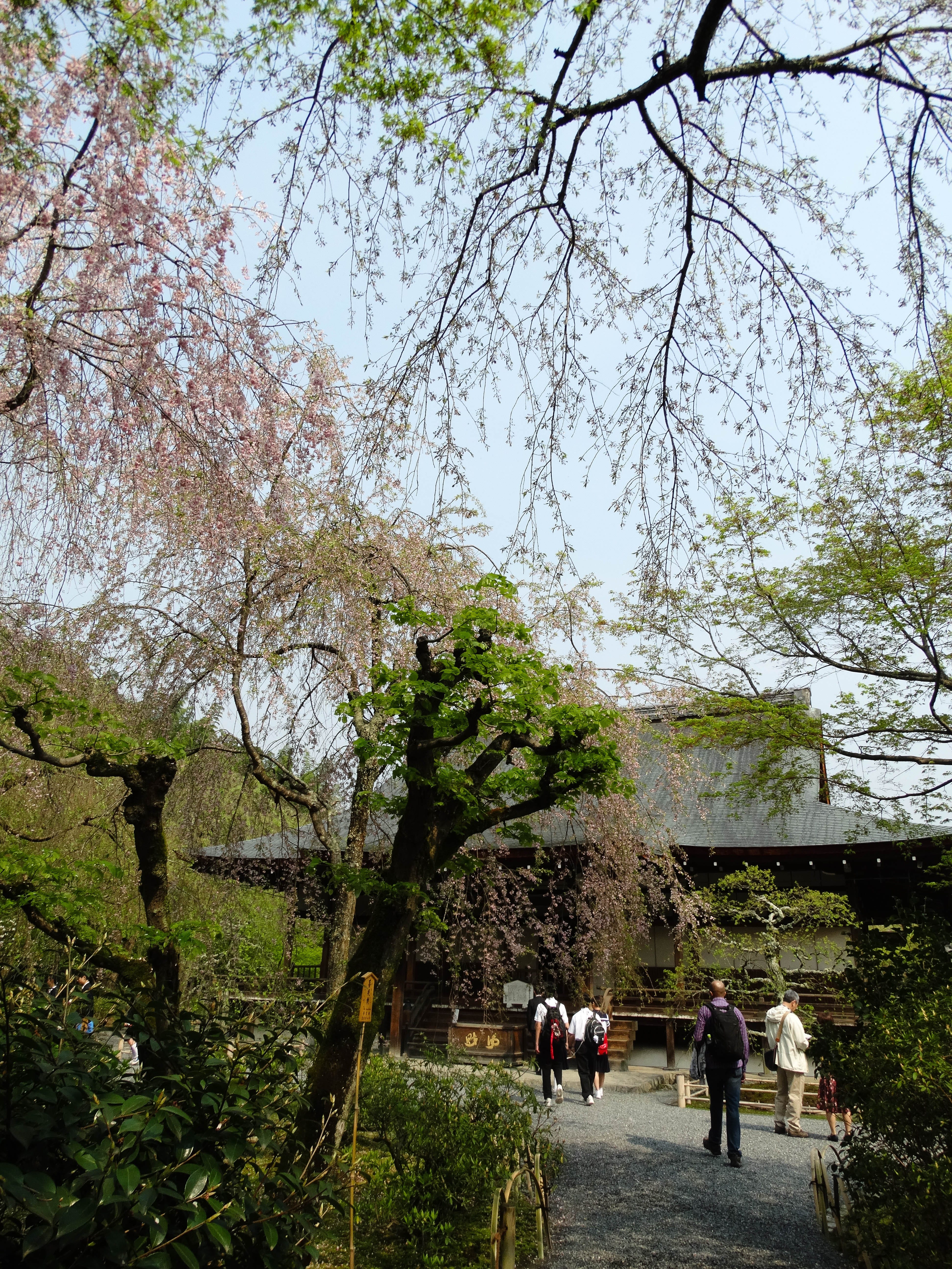 philosopher's path kyoto