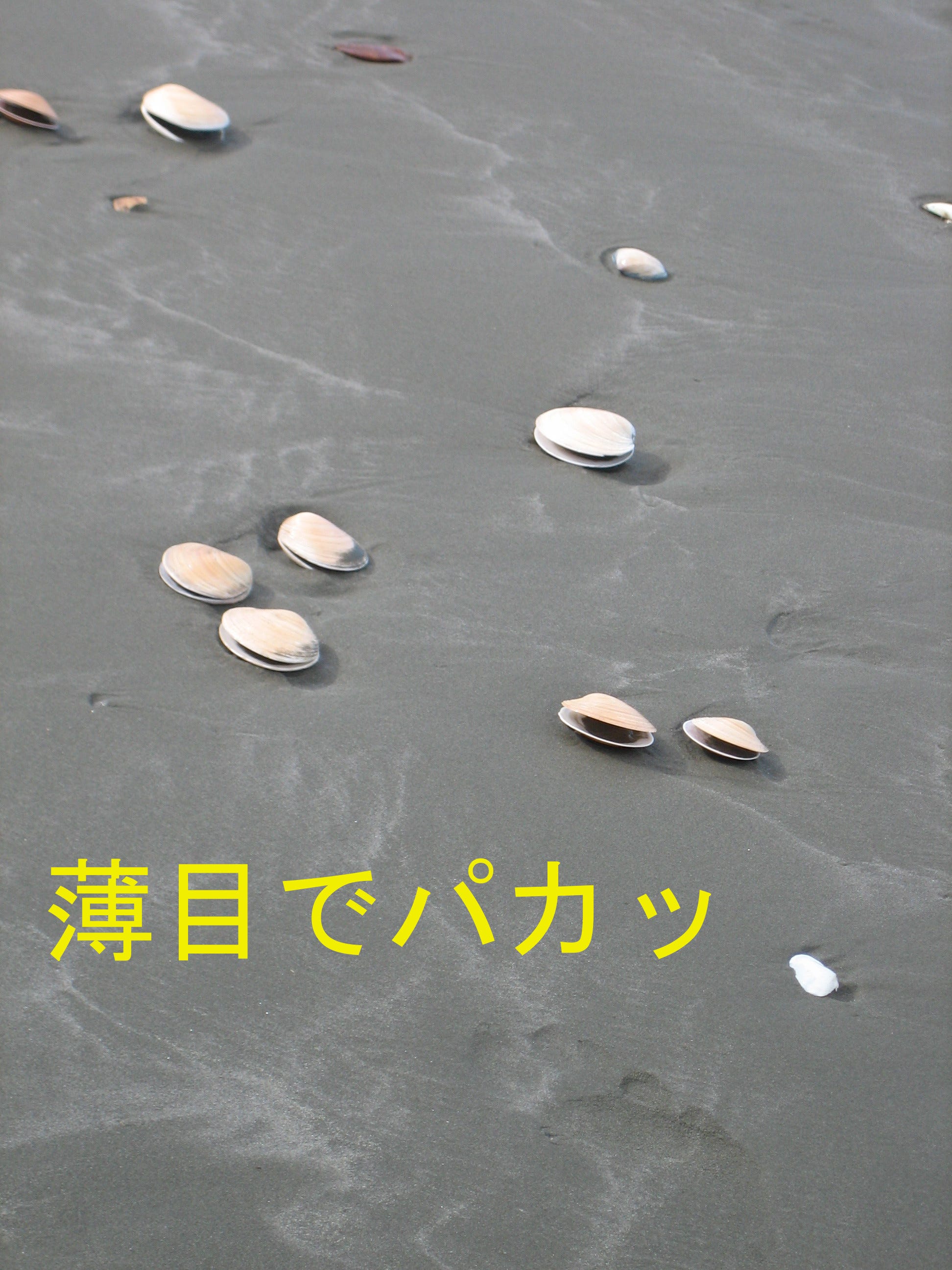 薄目でパカッ 日本語で読む Medium 薄目でパカッ 日本語で読む Medium