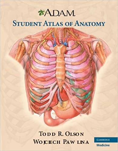 Ebook Reading A D A M Student Atlas Of Anatomy Full Pdf Online By Fccisca34 Feb 2021 Medium