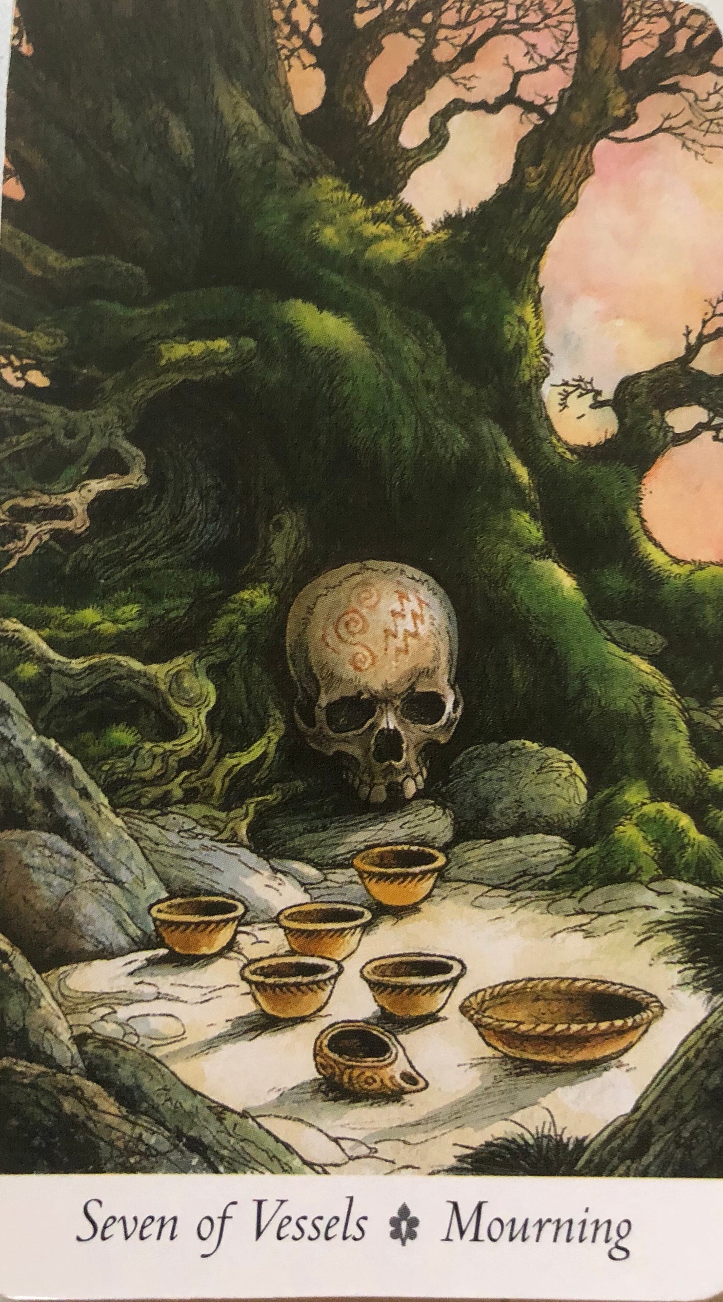 A Tarot Tale All Cards Are From The Wildwood Tarot By Camille Williams Medium A Tarot Tale All Cards Are From The Wildwood Tarot By Camille Williams Medium
