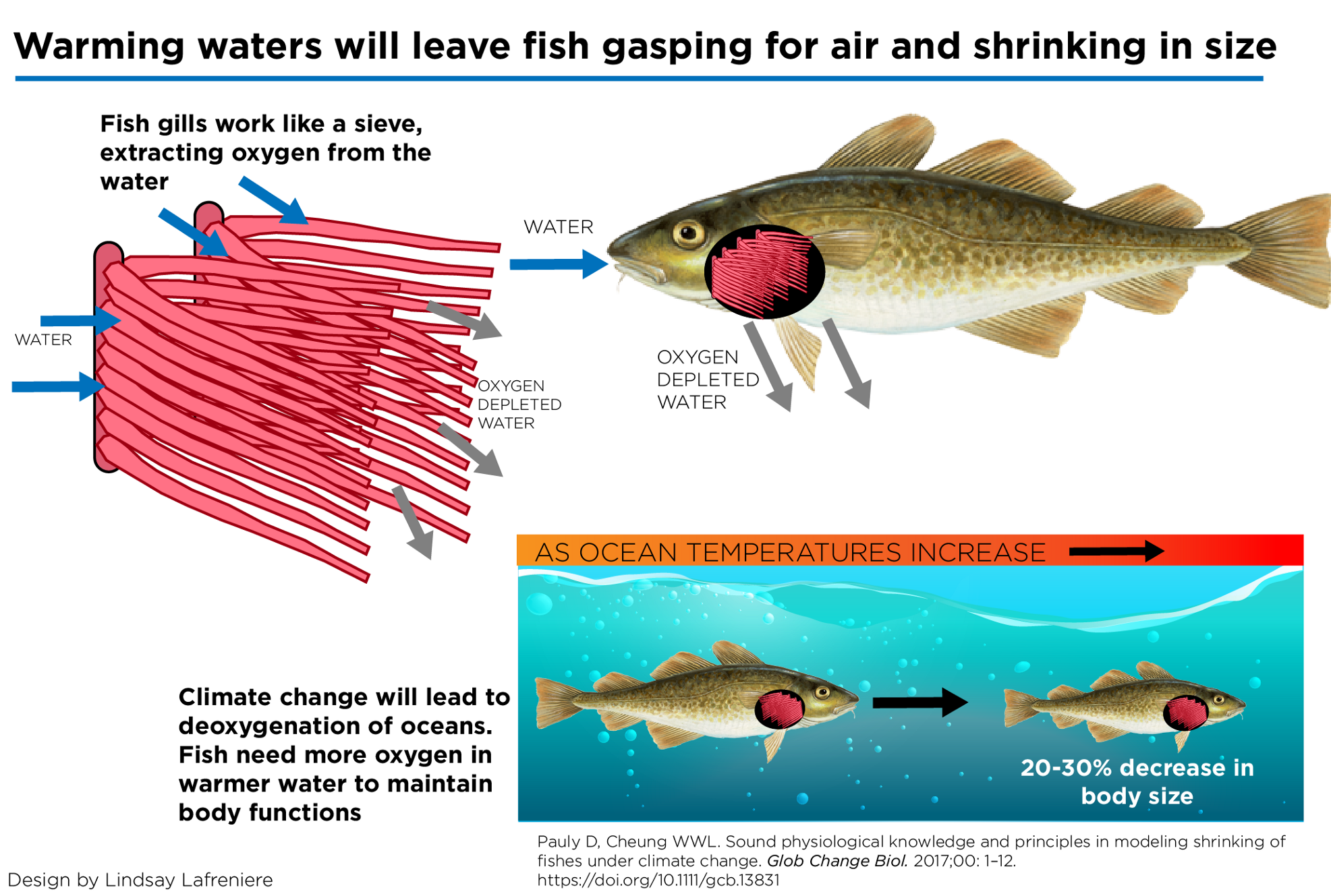 Fish Are Shrinking. Climate change is to blame. by Nexus