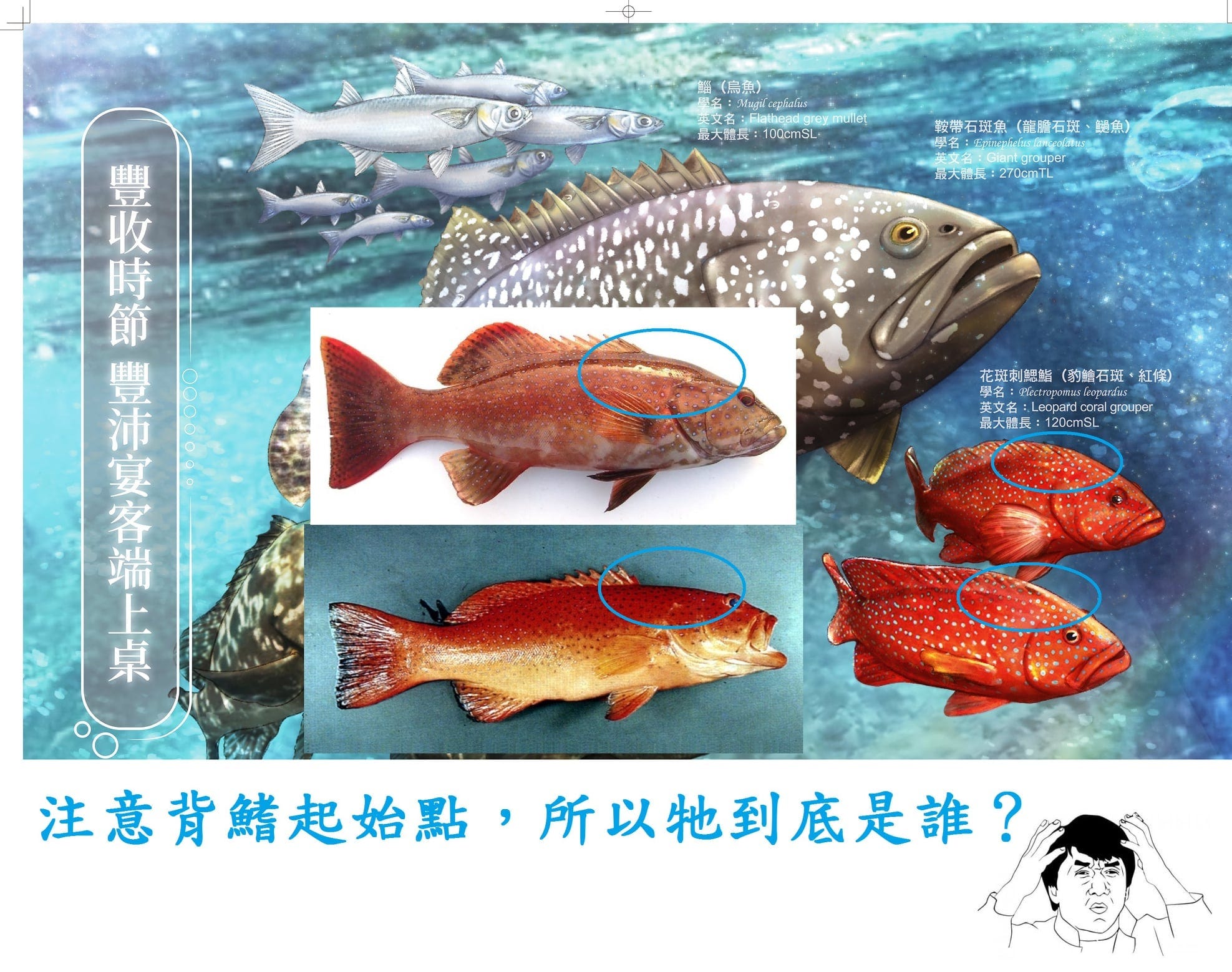 一輩子一定要擁有的一本月曆 漁業署錯誤百出 官僚 台灣漁業政策打問號 Bluetrend 藍色脈動 Medium