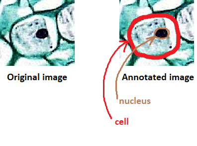 Defining Genomics, Transcriptomics, and Proteomics for Data Scientists 3