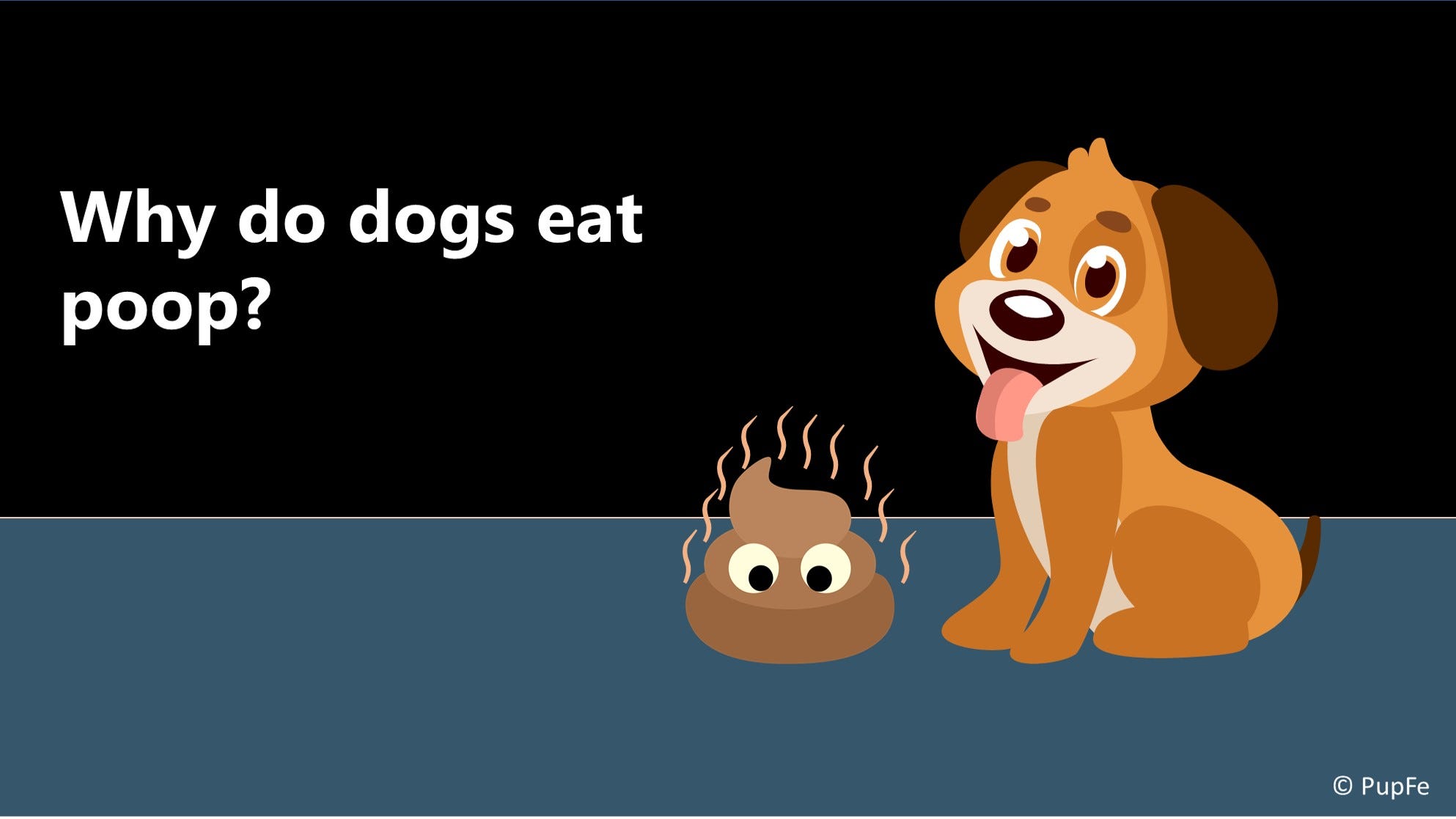 does pumpkin stop dogs from eating poop