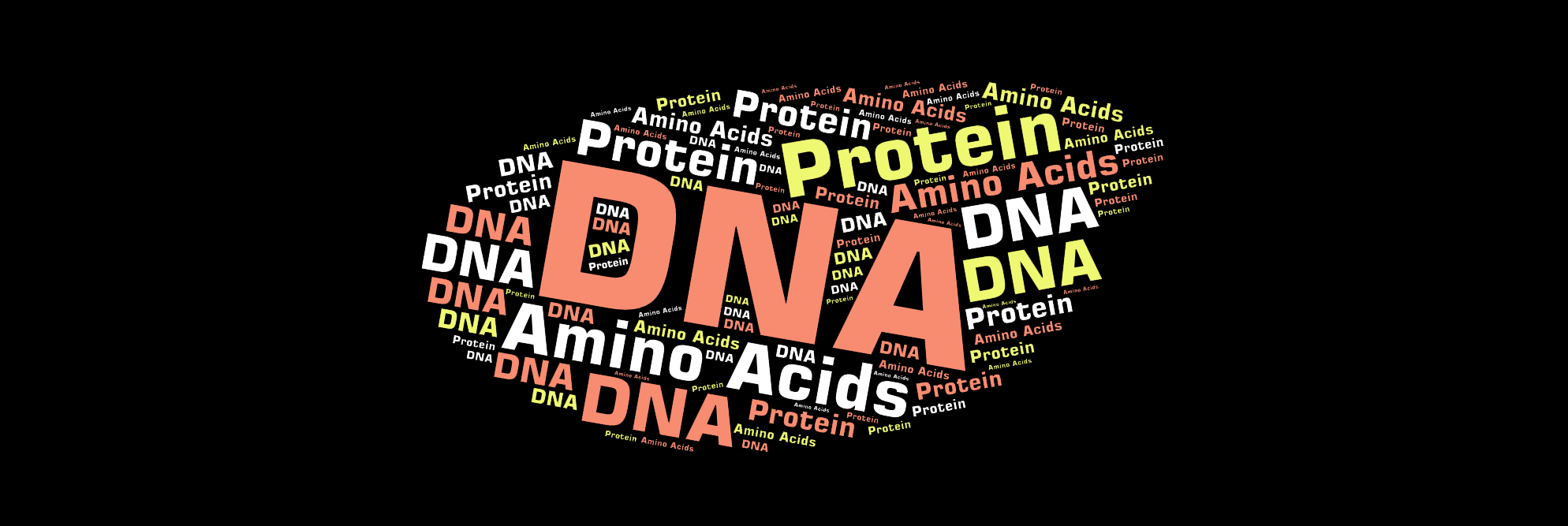 turning dna sequences into protein