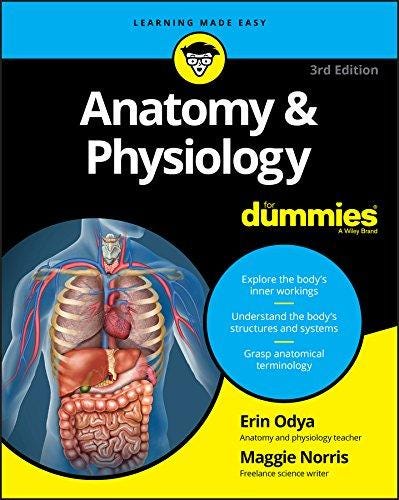 Download Ebook Android Phones For Dummies For Dummies