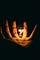 Lightbulb in human palm