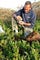 A man kneels in shrubs, holding a container