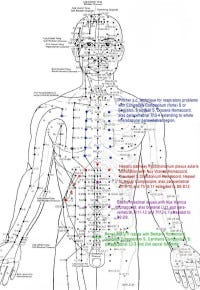 Chinese Medicine Meridians Chart
