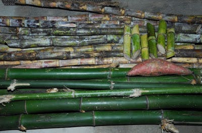 Con dúi ăn gì -3 thức ăn phổ biến - Dúi giống Dúi Thịt TPHCM - Medium