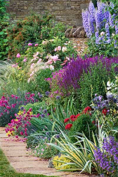 Tn Nursery Reviews — 3 Great Plants For Beginner Gardens ...
