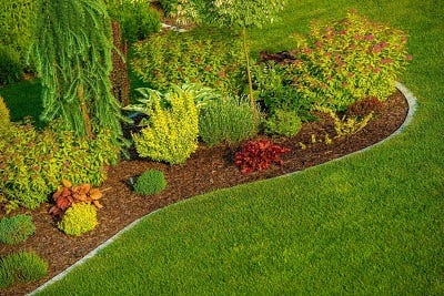 Landscaping Services Spring Hill Tn