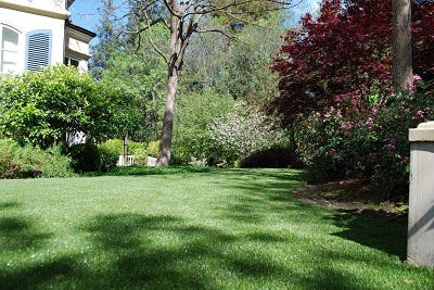 Interesting Facts About Artificial Turf That You Need To Know