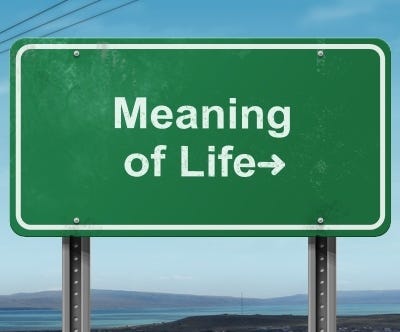 Do We Need Meaning?. Meaning is aim, significance and value… | by A. A ...