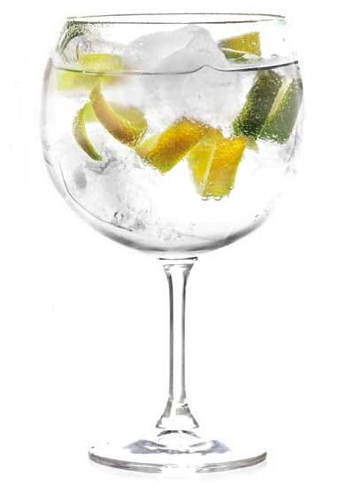 Como preparar un buen Gin tonic. Recipiente adecuado: Un vaso de tubo… | by  Queso y Sidra | Medium