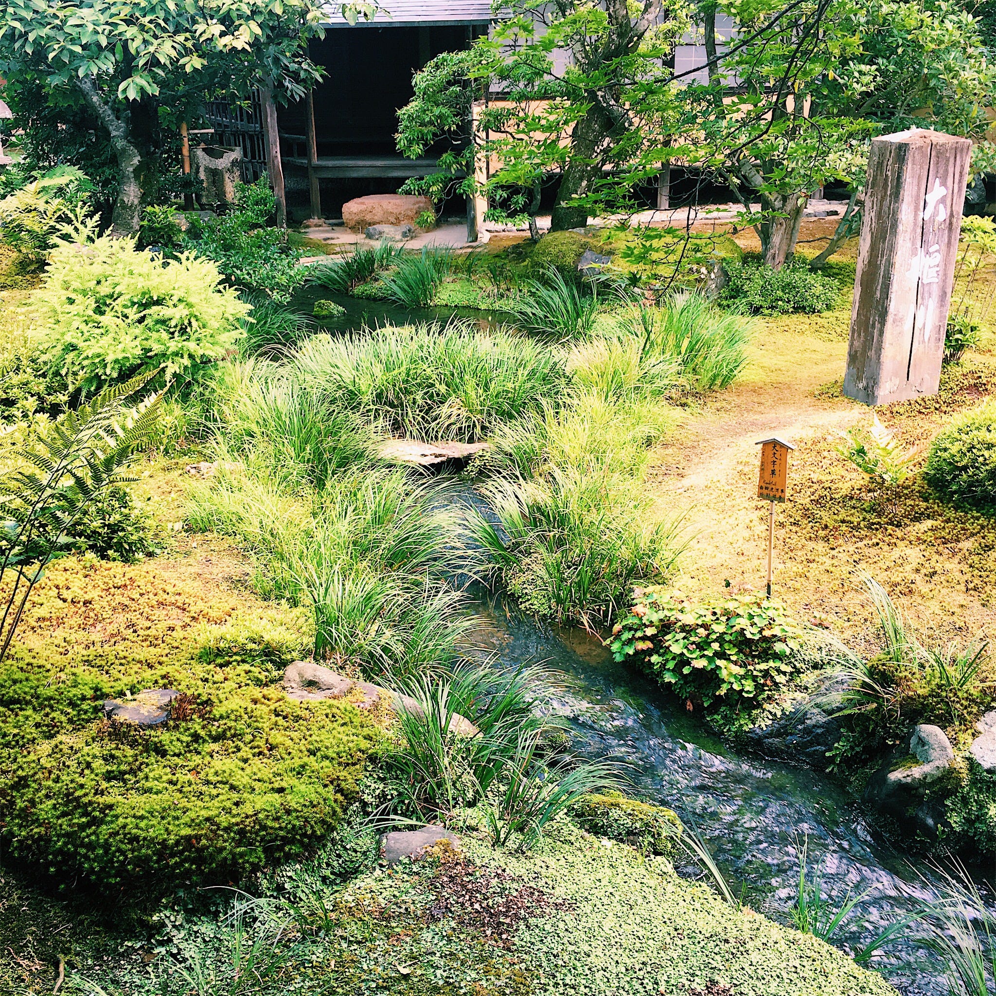 京都之行 第二天 美色永在 By Nothing But Beautiful My Travels Blog Medium