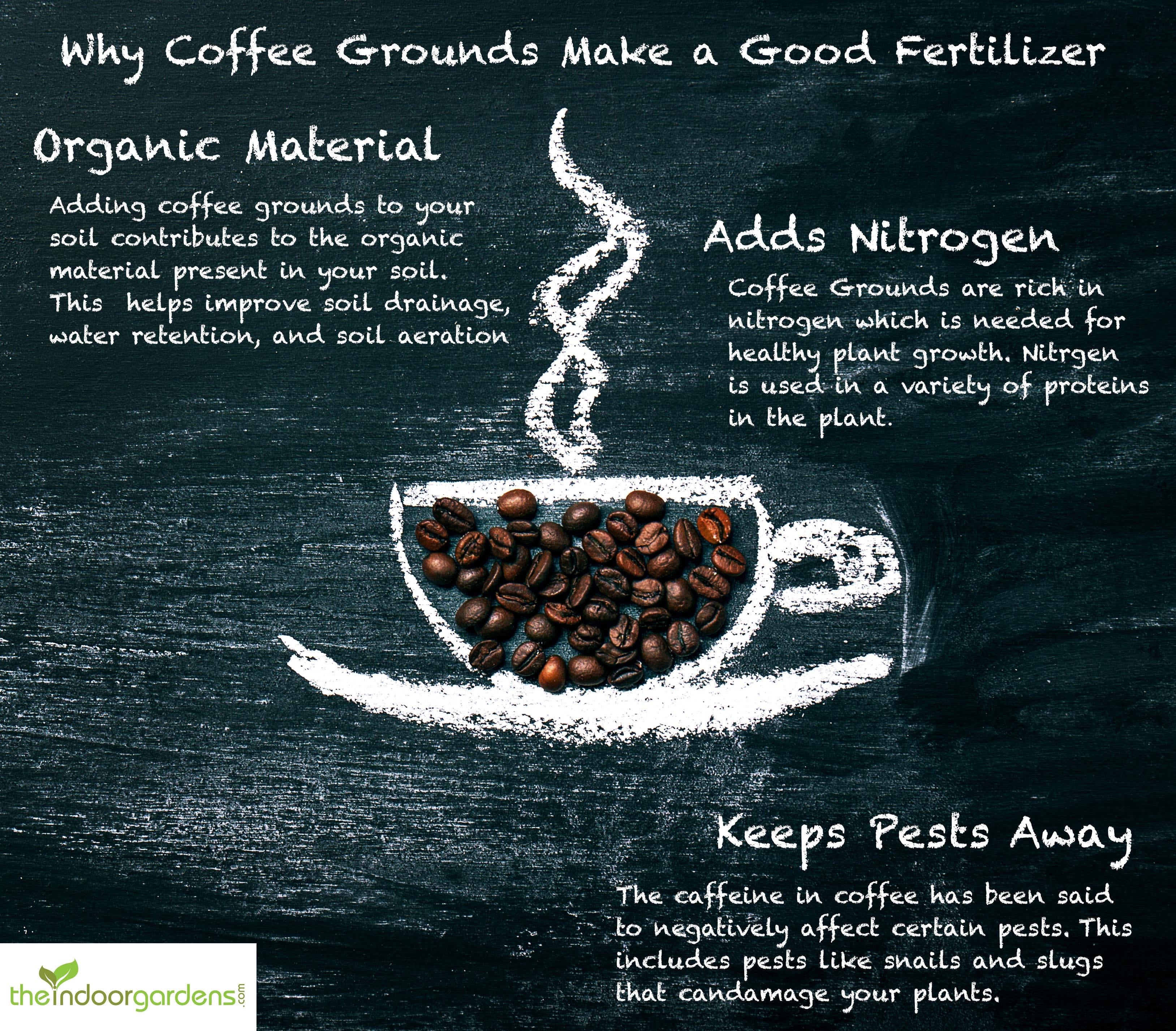 Using Coffee Grounds As A Homemade Fertilizer The Indoor Gardens