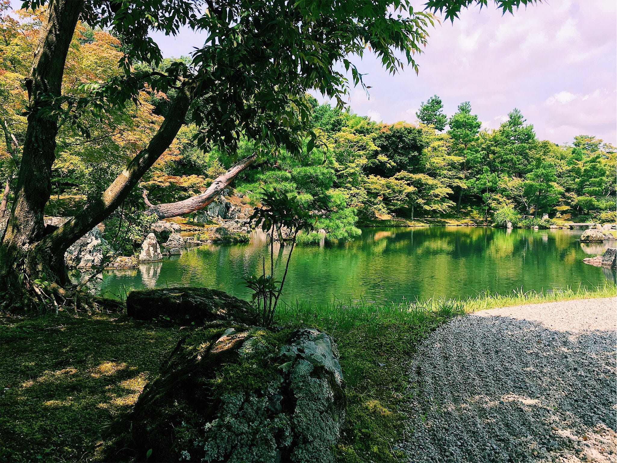 京都之行 第二天 美色永在 By Nothing But Beautiful My Travels Blog Medium