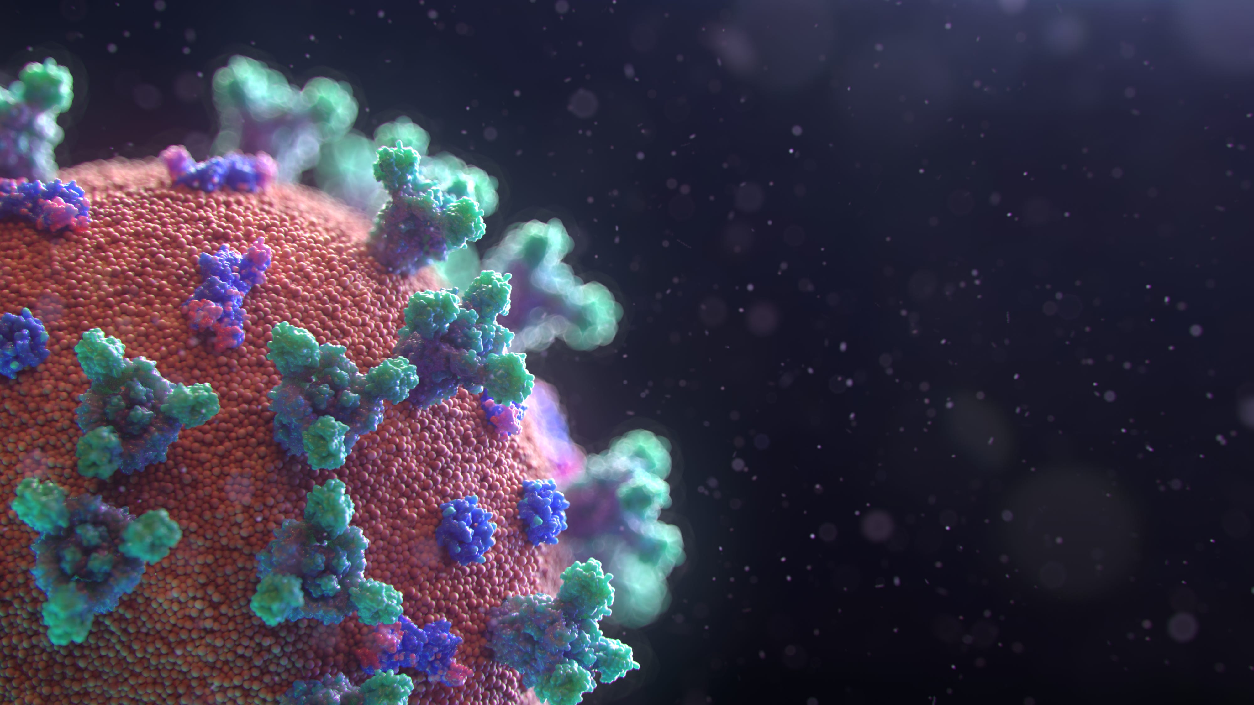 a magnified image of the covid-19 virus.