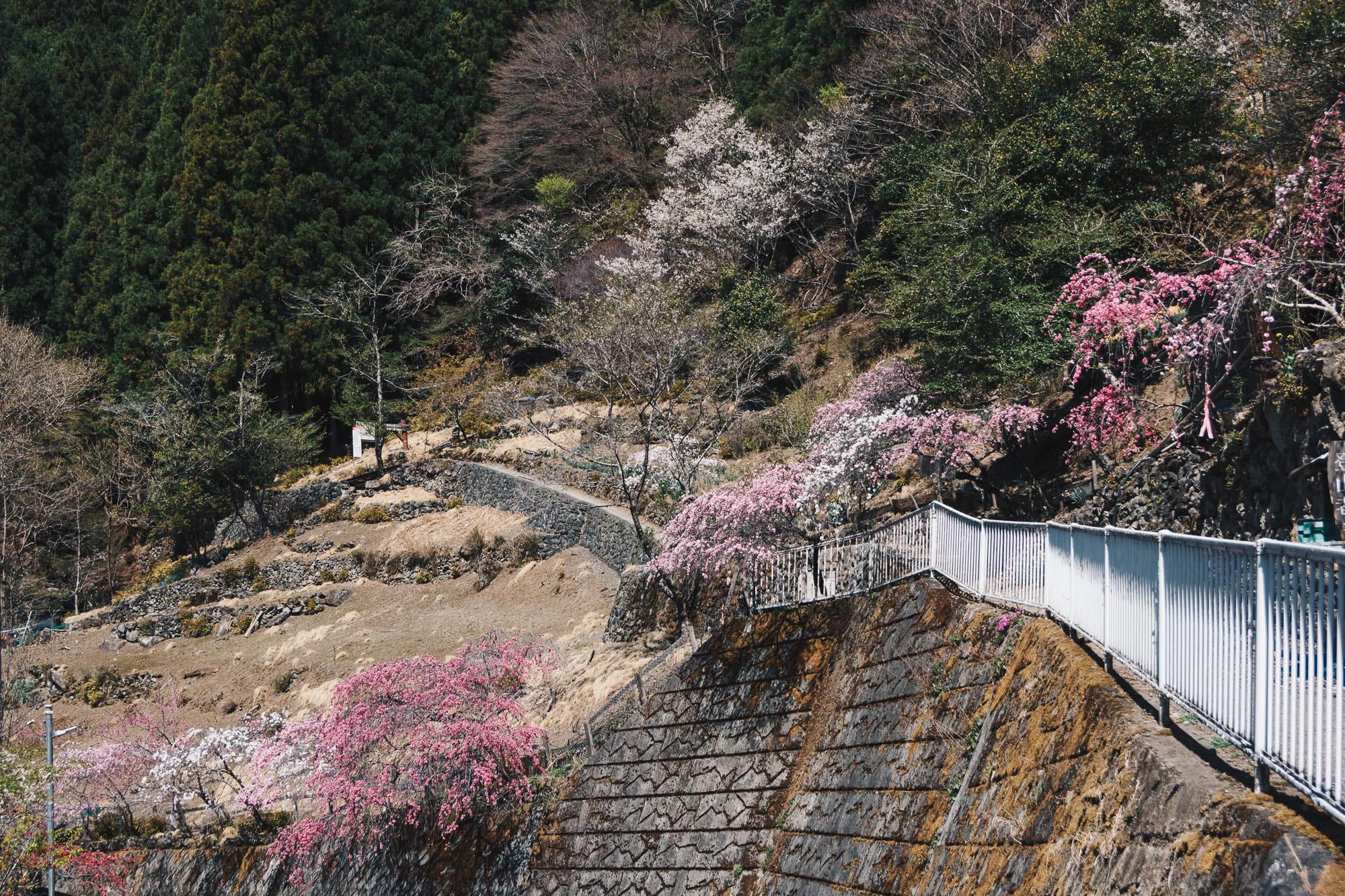 秩父 不僅僅是山徑 還有溪谷與岩場 兩神山單日健行 Drifting Soul Medium