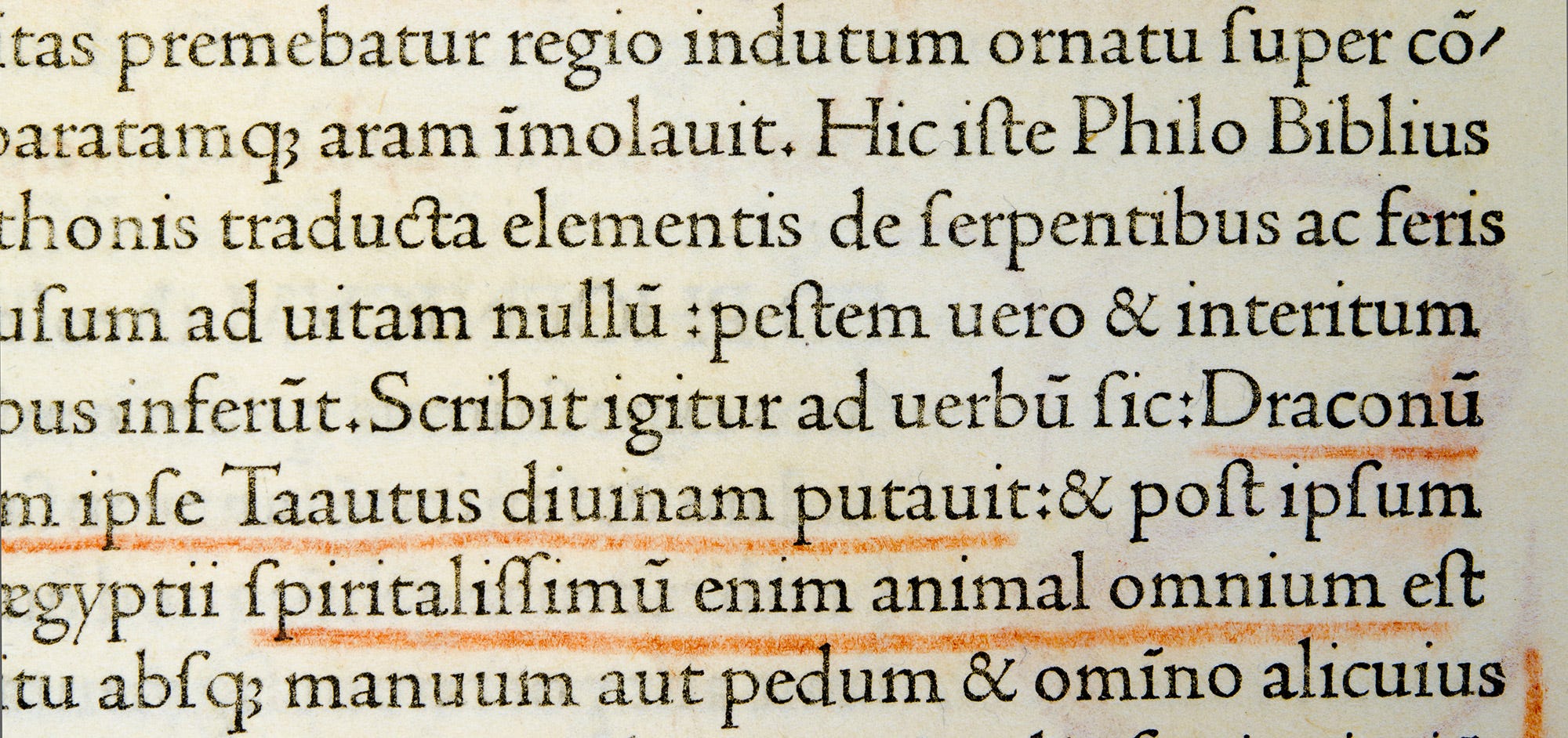 Nicolas Jenson And The Success Of His Roman Type By Riccardo Olocco Cast
