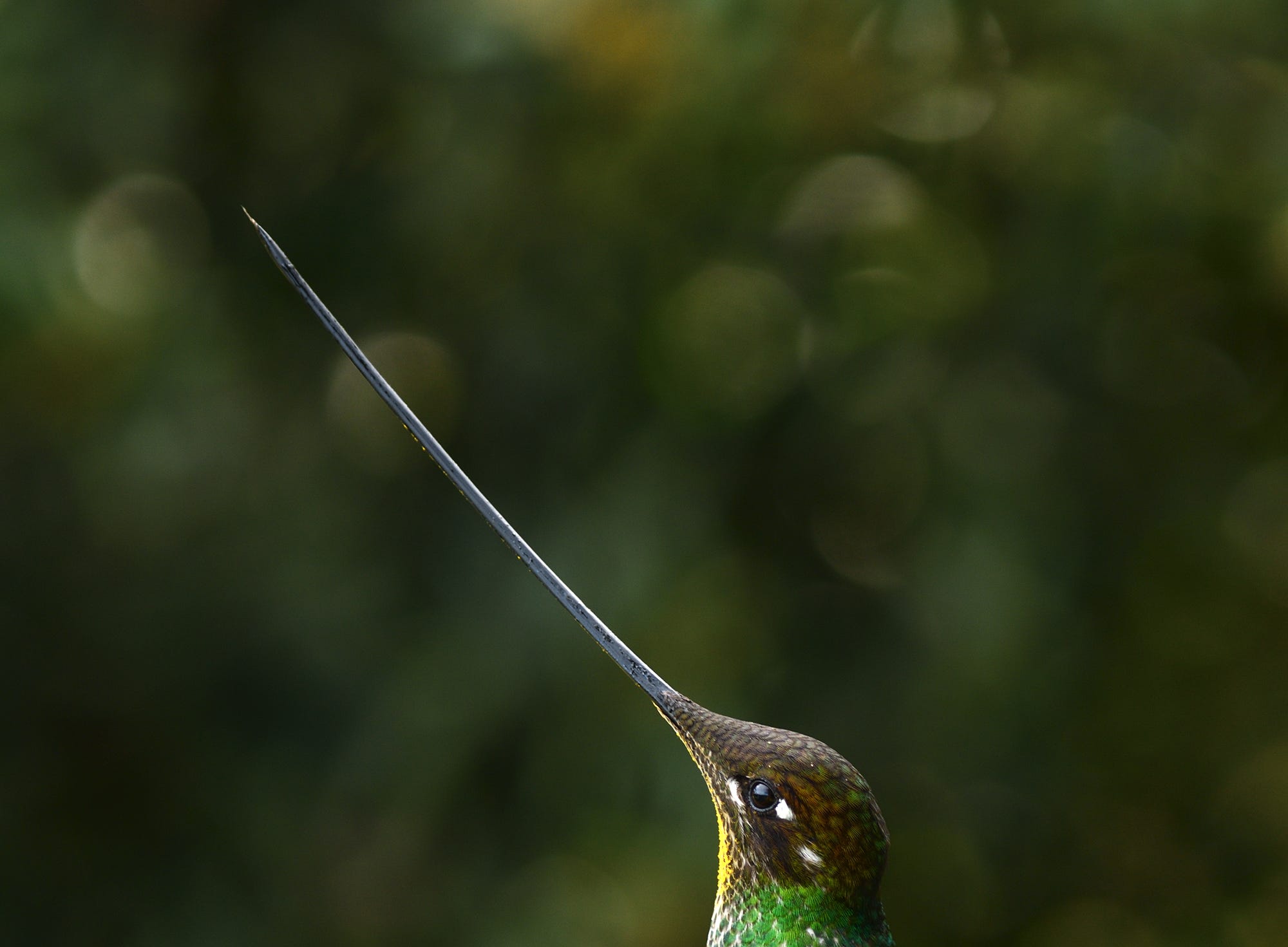 Colombia 2017 Travel Report Ferdy Christant