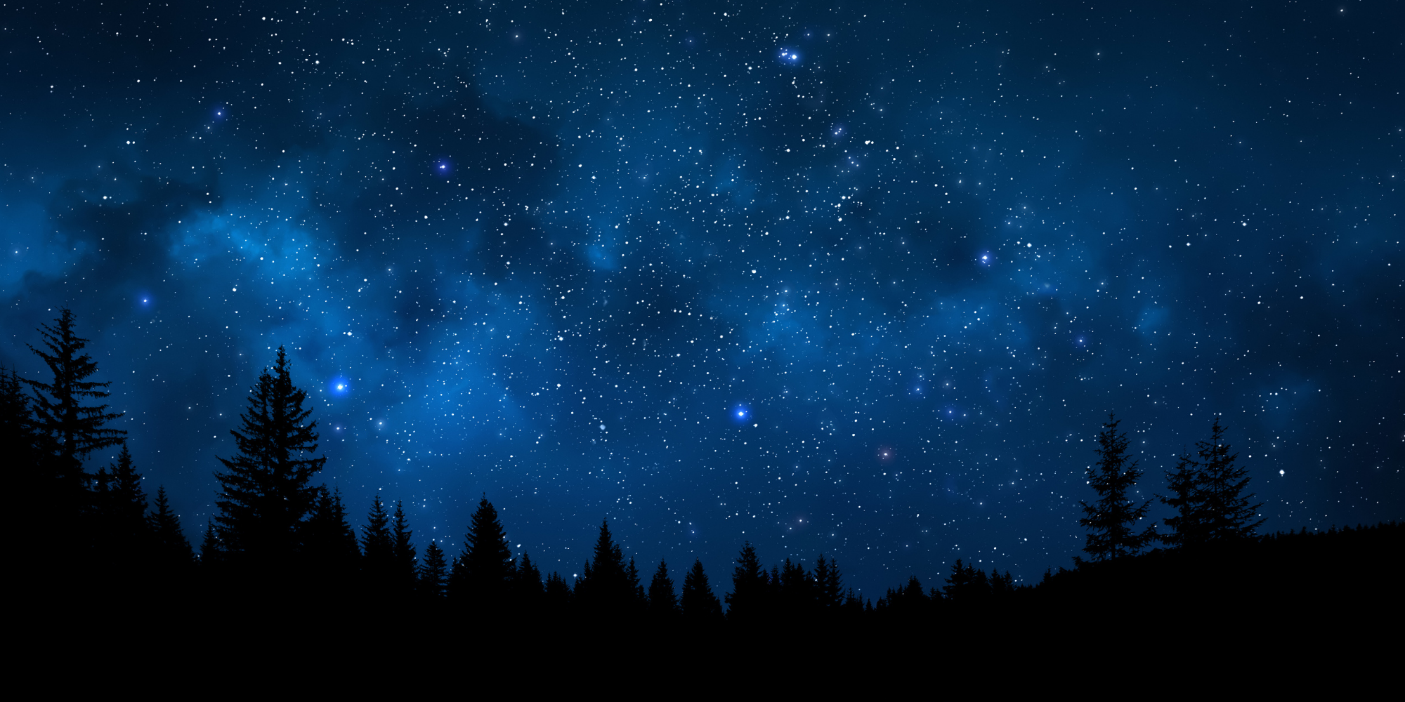 Starry night sky over forest