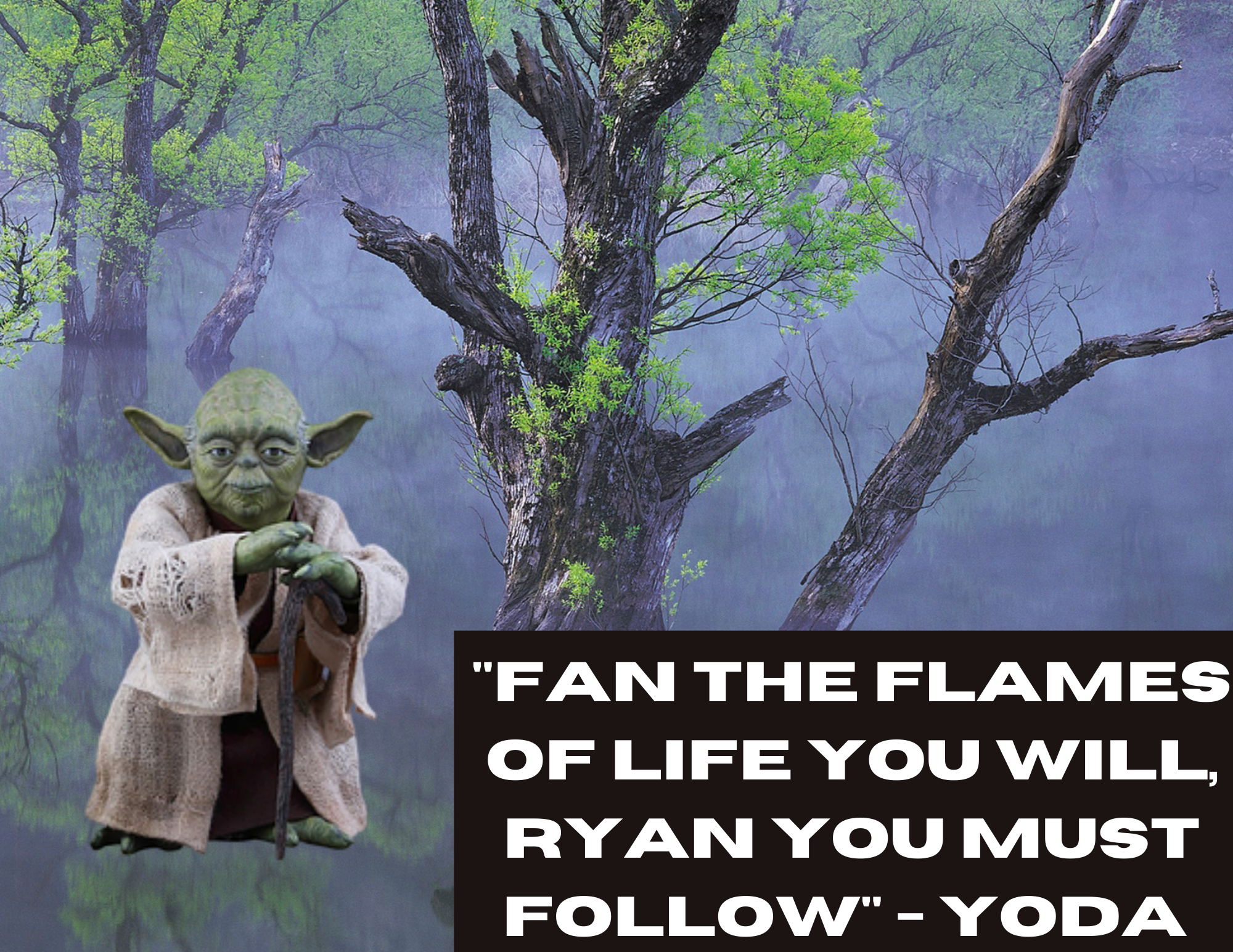 How To Write Fake Quotes And Attribute Them To Famous People By Ryan Fan Jane Austen S Wastebasket Medium