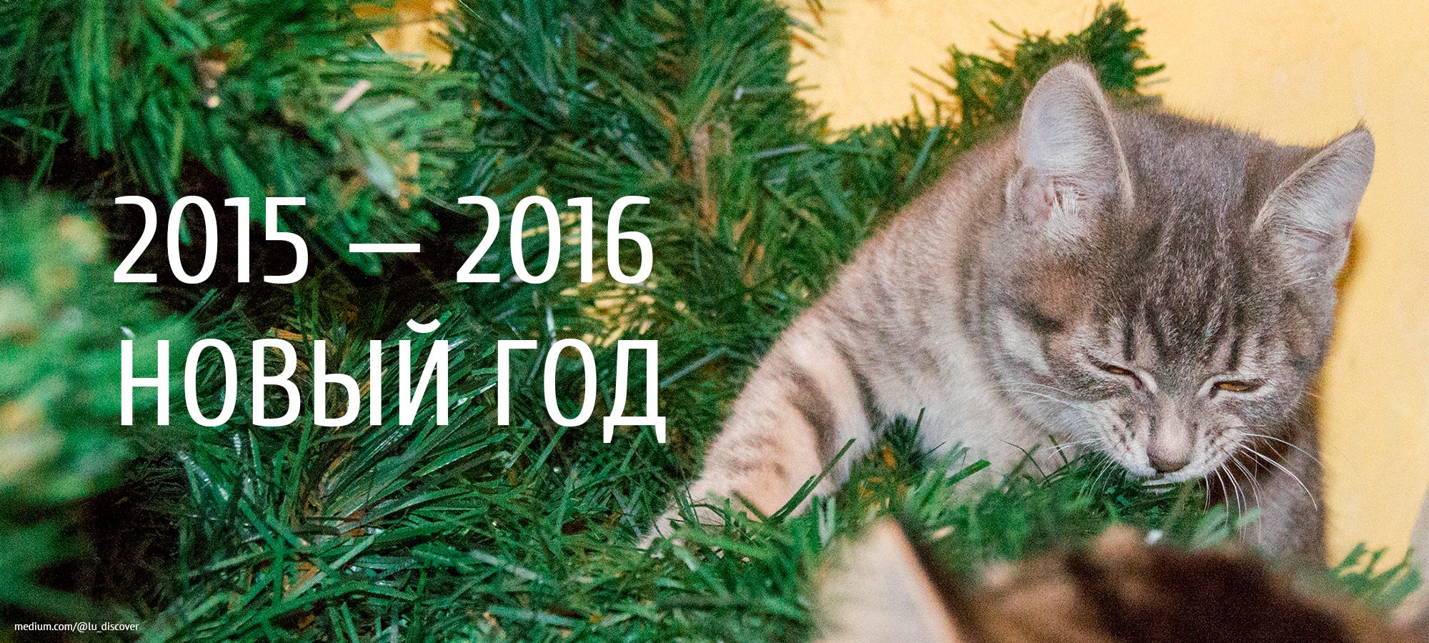 Украина Новый Год 2015 Украина Новый Год 2015