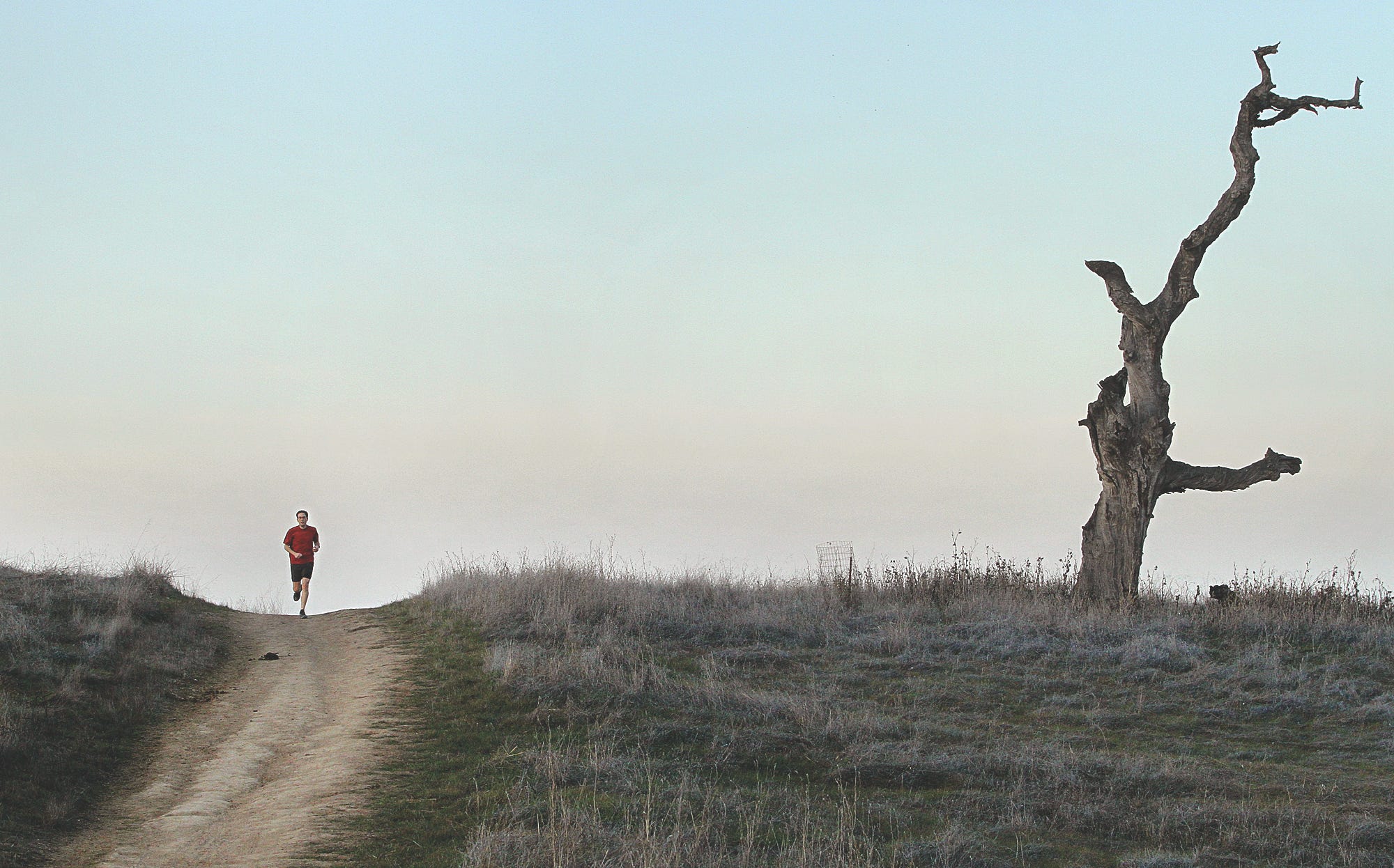 Trail Run The Peninsula Like A Pro The Six Fifty