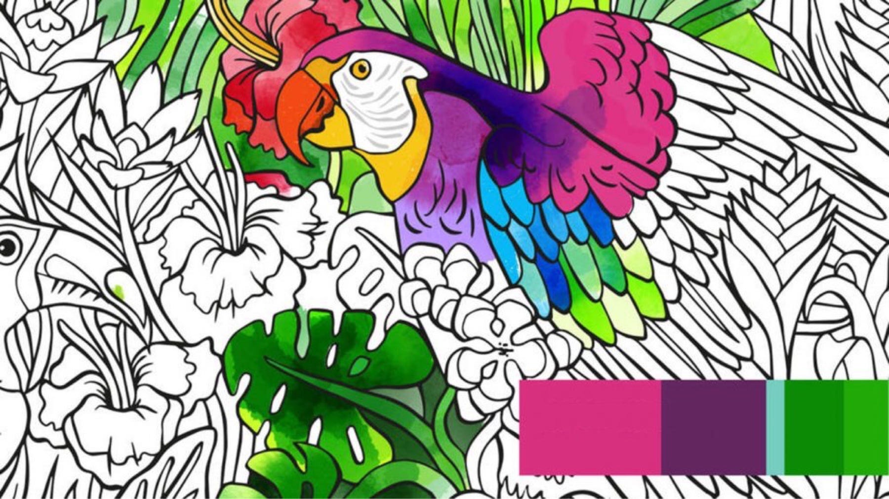 Adult Color By Numbers Sayilara Gore Renk Boyama Sayfalari Ve Boyama Kitaplari