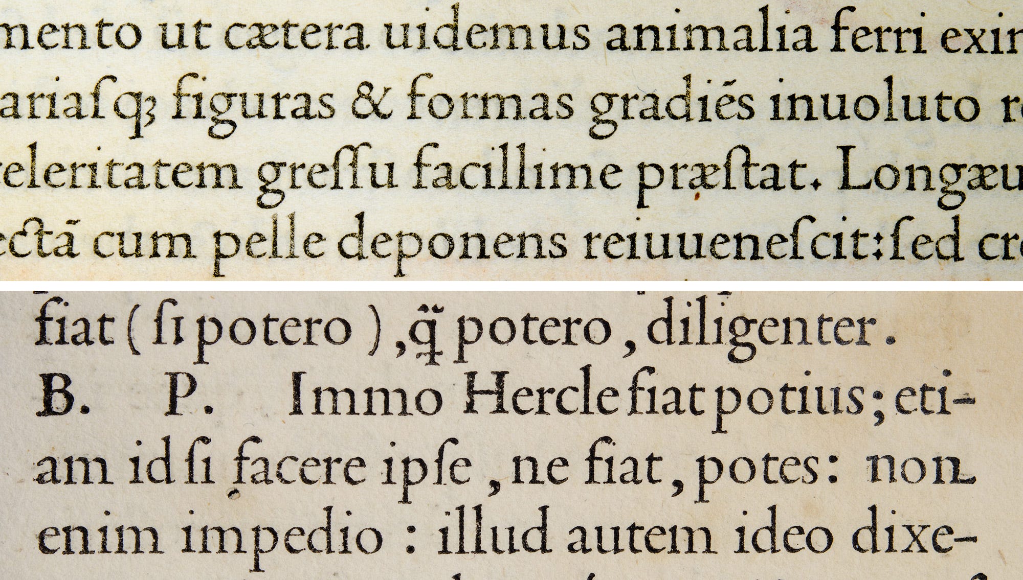 Nicolas Jenson And The Success Of His Roman Type By Riccardo Olocco Cast