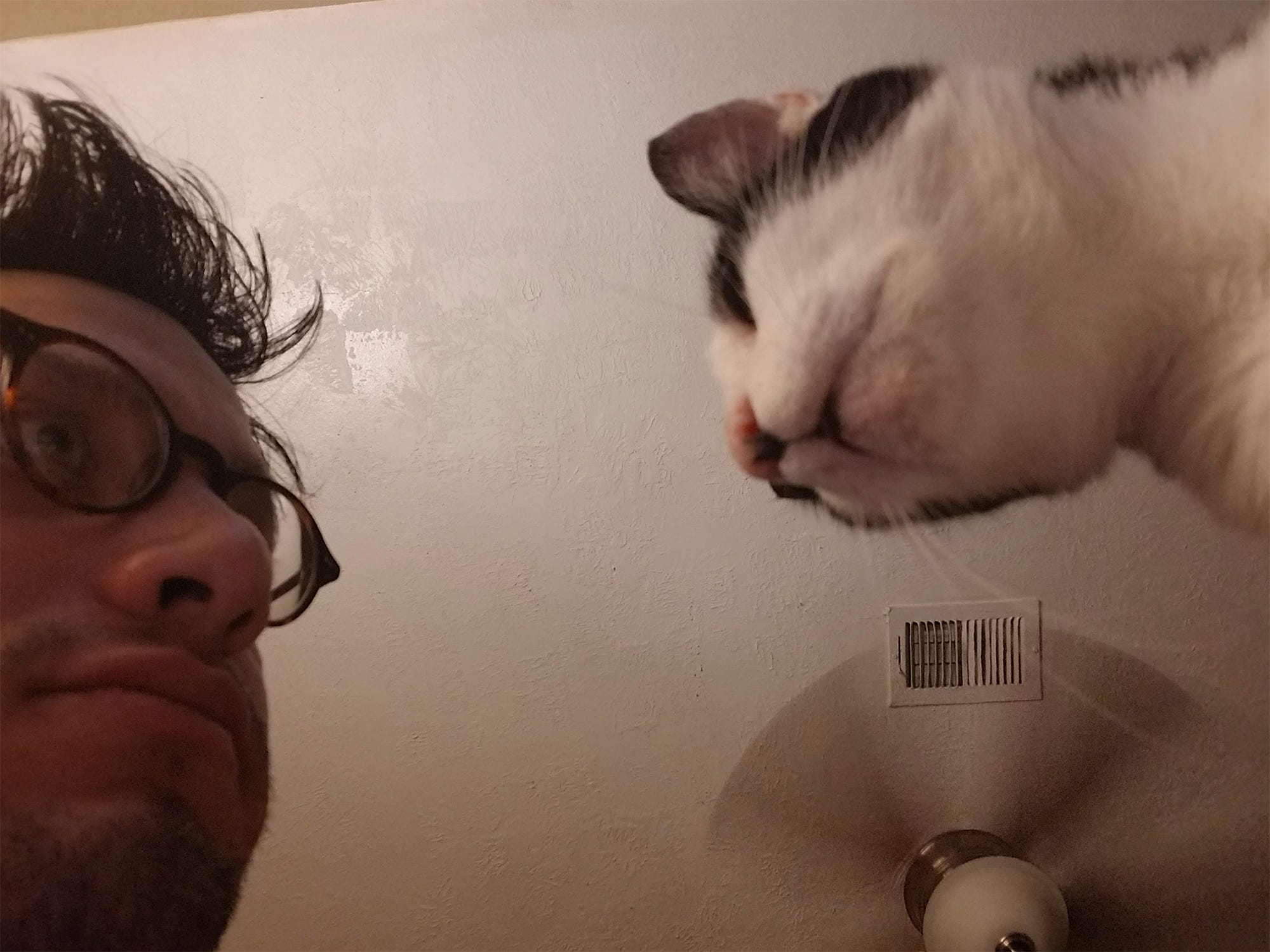 really sad cat