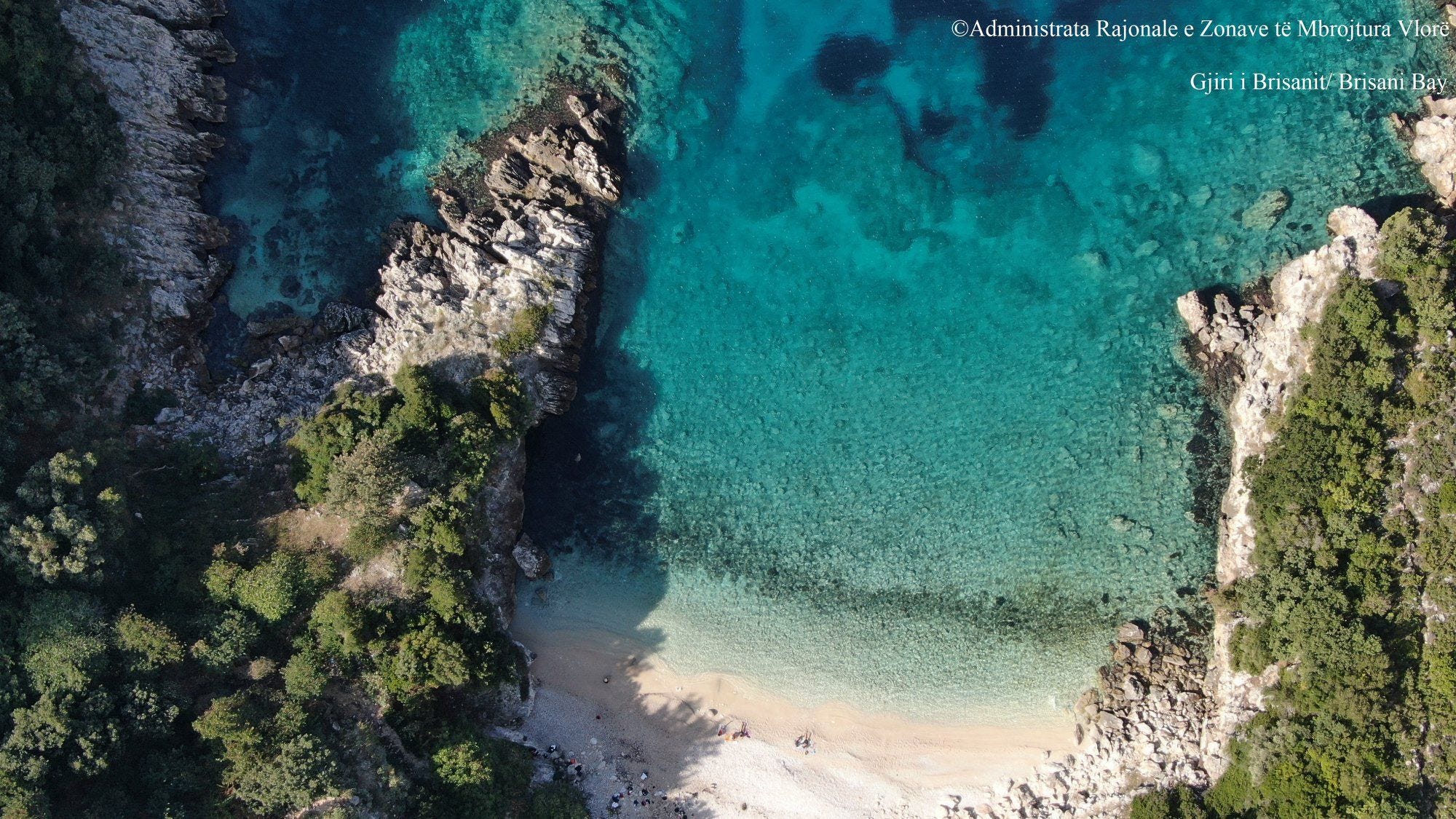 10 years Karaburun-Sazan National Marine Park | by UNDP albania | Medium