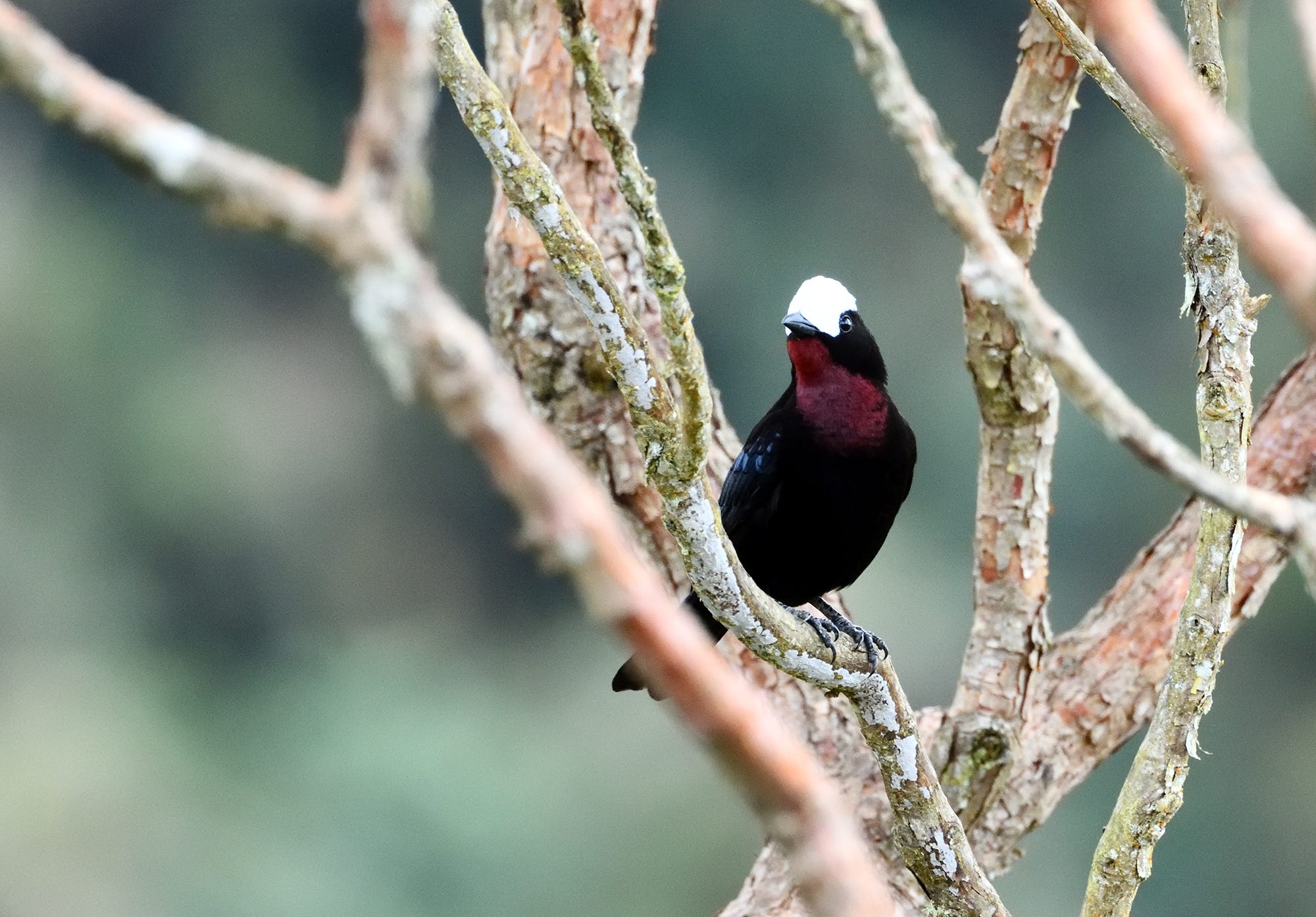 Colombia 2017 Travel Report Ferdy Christant